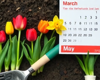 Spring gardening guide cover